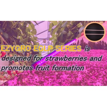 EZYGRO Precision LED Growth Light - EGLP Series - G4.5