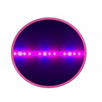 EZYGRO Precision LED Grow Lights for Commercial CEA Lighting