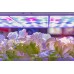 EZYGRO Series LED Best Seller-Growth Light, Artificial lighting in agriculture