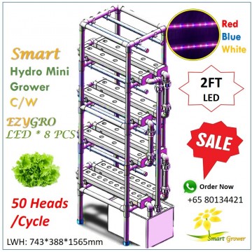 30% OFF ! SMARTGROWER Corps Indoor Cultivation Kit 4 Tier c/w 2FT LED