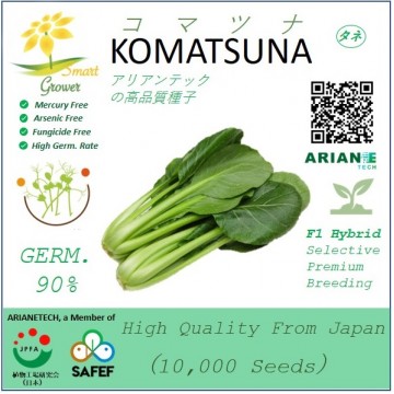 Japanese High Quality Seeds: KOMATSUNA