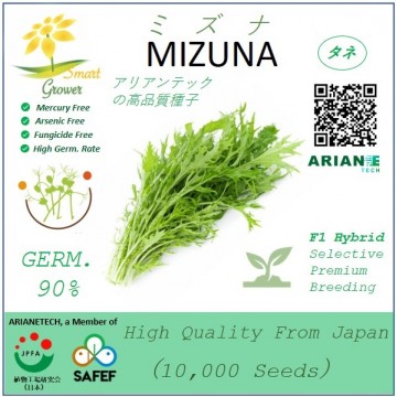Japanese High Quality Seeds: MIZUNA