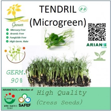 High Quality Seeds: TENDRIL    (Microgreen)