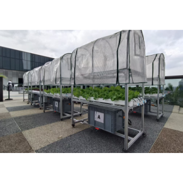 SmartAgro Vertical System for Leafy Green / Strawberry / R&D