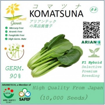 Japanese High Quality Seeds: KOMATSUNA (5g pack)