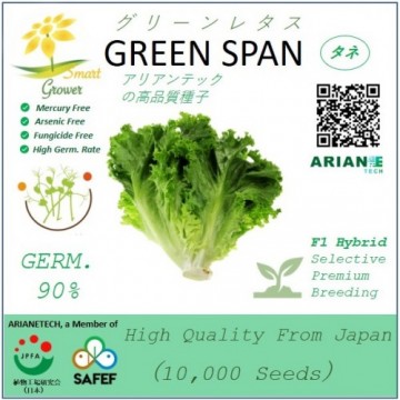 Japanese High Quality Seeds: GREEN SPAN (2g pack)