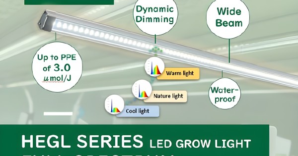 Engel Light Precision LED Grow Lights for CEA | Commercial Horticulture Lighting ...