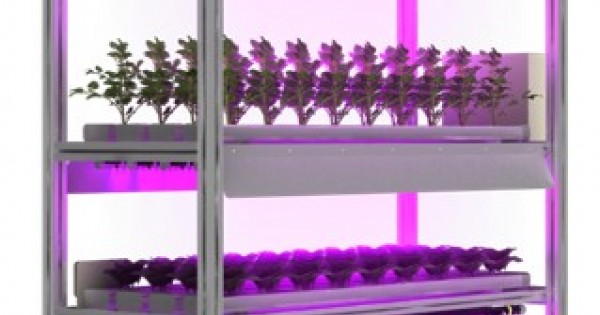 Modular Cultivation Racks *NEW DESIGN* SmartAgro 3-in-1Multi-purpose R&D Cultivation Rack