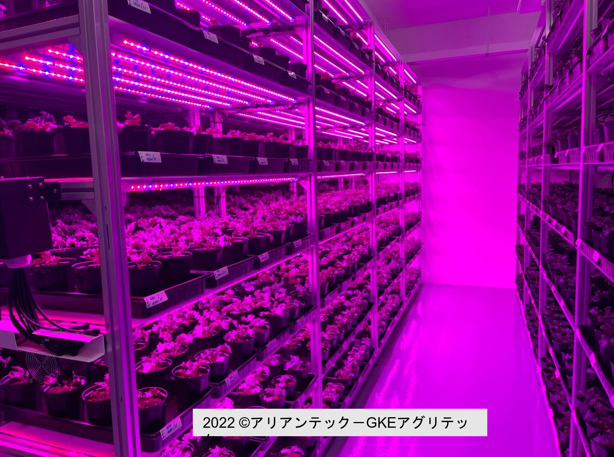 Arianetech's project with GKE Corp was interviewed by The Business Times Singapore