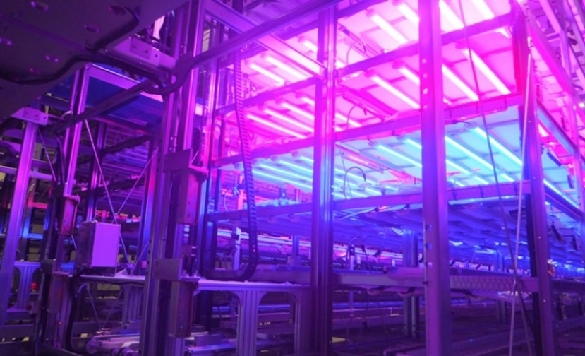 Plant factory that unmanned the cultivation and production of leafy vegetables - Japan