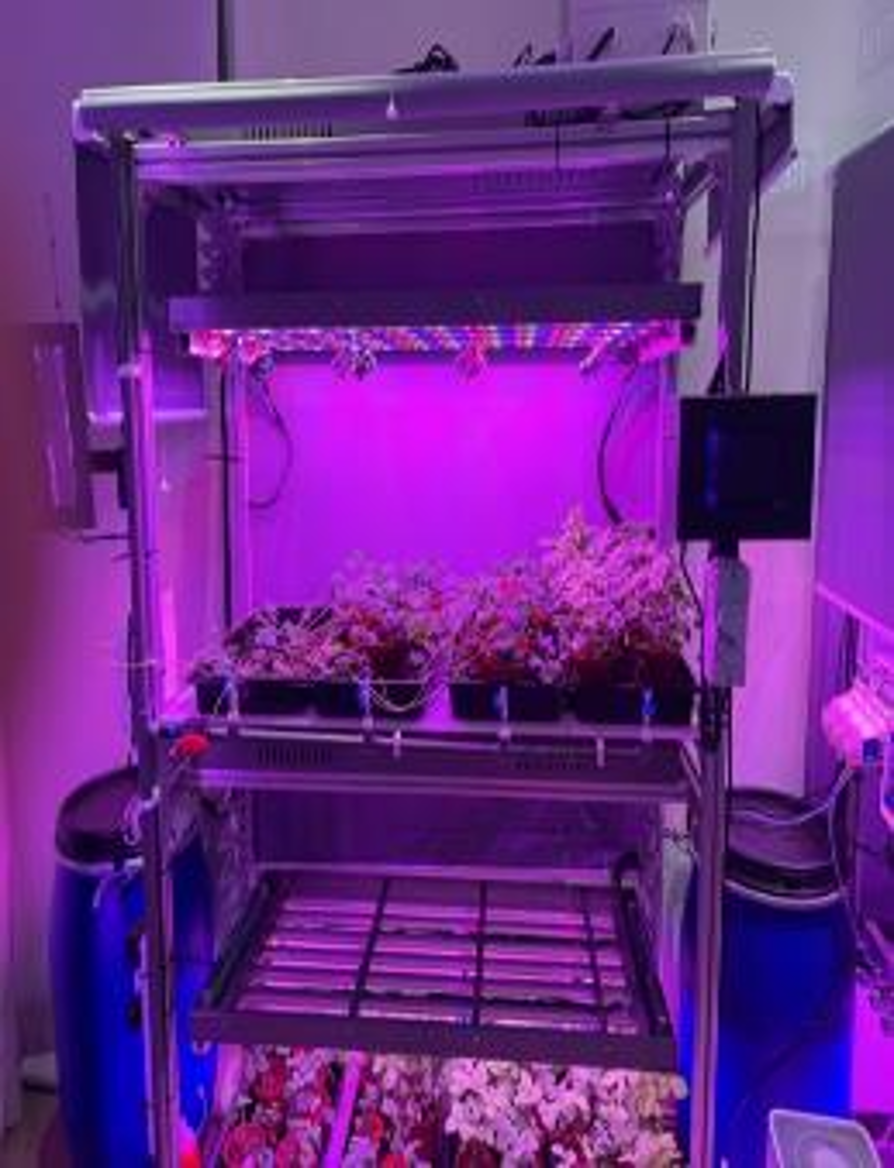 Supply And Install Of Trial Indoor Plant Equipment And Systems – Npark Jurong Lake Garden