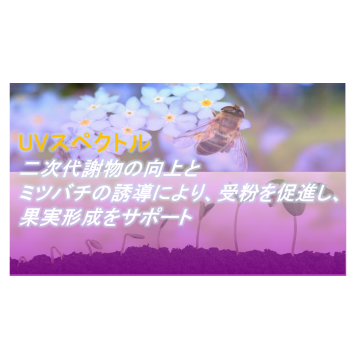 Ezygro®HEGLシリーズ第5世代高効率植物育成用LED（UV）