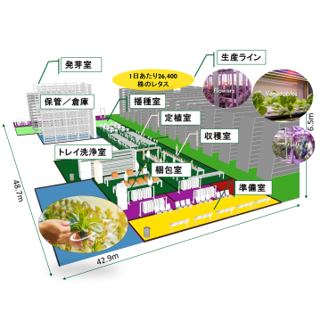 大規模栽培システム