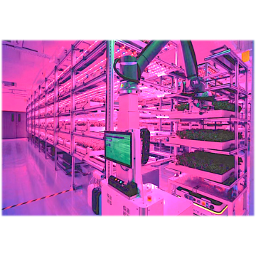 軽量自動化システム