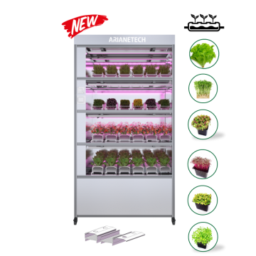 *新*DualGrow Pro ラック（家庭用栽培ラック）
