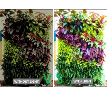 EZYGRO®高効率植物育成用LED照明