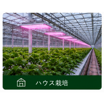 EZYGRO®高効率植物育成用LED照明