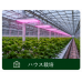 EZYGRO®高効率植物育成用LED照明
