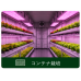 EZYGRO®高効率植物育成用LED照明