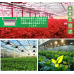EZYGRO®高効率植物育成用LED照明