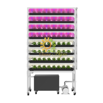 SMARTAGROスマートアグロー植物工場栽培システム