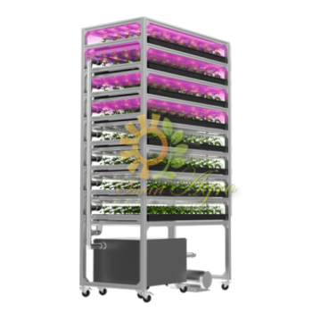 SMARTAGROスマートアグロー植物工場栽培システム