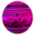 EZYGROイージグロー高効率 植物育成用LED 照明