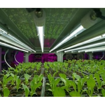 EZYGROイージグロー高効率 植物育成用LED 照明