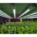EZYGROイージグロー高効率 植物育成用LED 照明