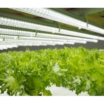 EGTH内蔵電源直管LED蛍光灯シリーズG13口金高効率植物育成照明2.0第二代