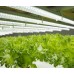 EGTH内蔵電源直管LED蛍光灯シリーズG13口金高効率植物育成照明2.0第二代