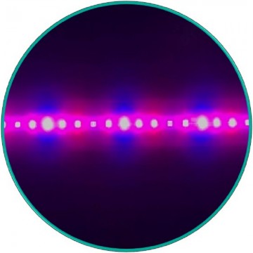 EZYGROイージグロー高効率 植物育成用LED 照明