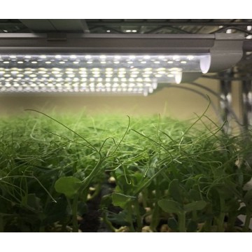 FDGH 器具一体内蔵電源型IP21タイプ植物育成用LED照明高効率2.0第二代