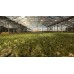 EZYGROイージグロー高効率 植物育成用LED 照明