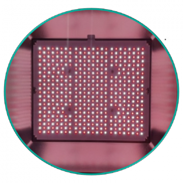 EZYGRO EGFL100-XRW赤・白タイプ投光器シリーズ温室補光LED植物照明