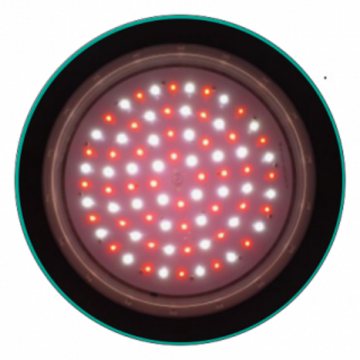 EZYGRO EGHB-100-XRW 赤・白タイプ高天井用シリーズ温室補光LED植物照明