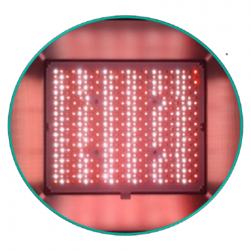 EZYGROイージグロー高効率 植物育成用LED 照明