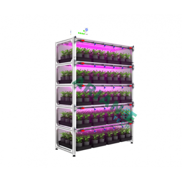 SMARTAGRO-スマートアグロー五段式スマート植物工場栽培ラックユニット：最も生産性の高い植物工場作り（段数カスタマイズ対応可能）