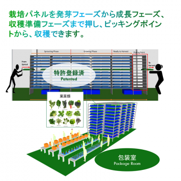 SMARTAGROスマートアグロー植物工場栽培システム