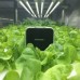 EZYGROイージグロー高効率 植物育成用LED 照明