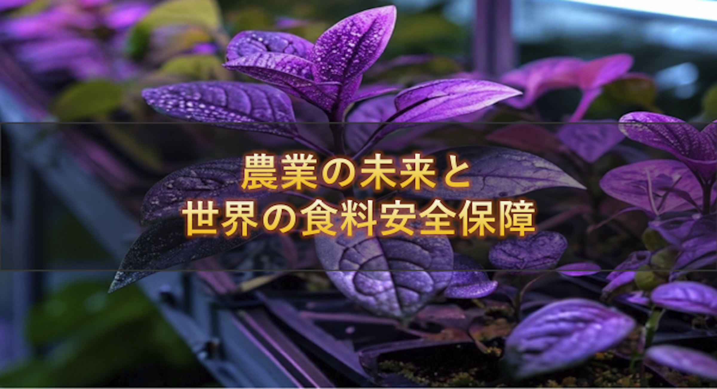 植物工場の経済性向上