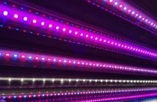 テマセク・ポリテクニックのバイオサイエンス研究プロジェクト