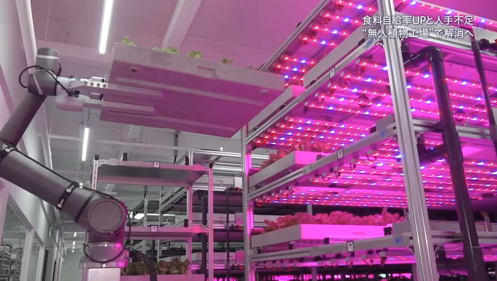 初の完全再生可能エネルギー植物工場 - GKE