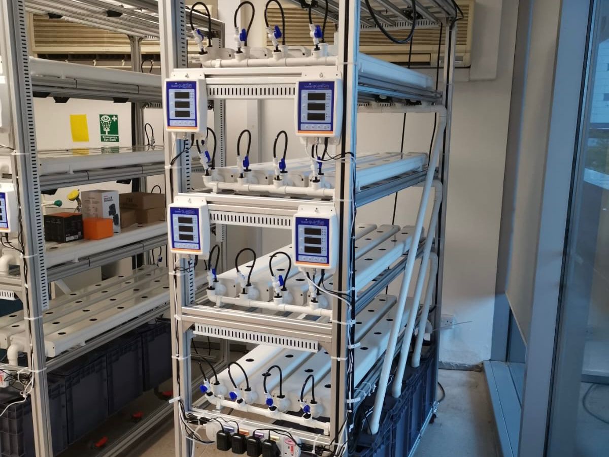 南洋理工大学 - 材料科学および工学