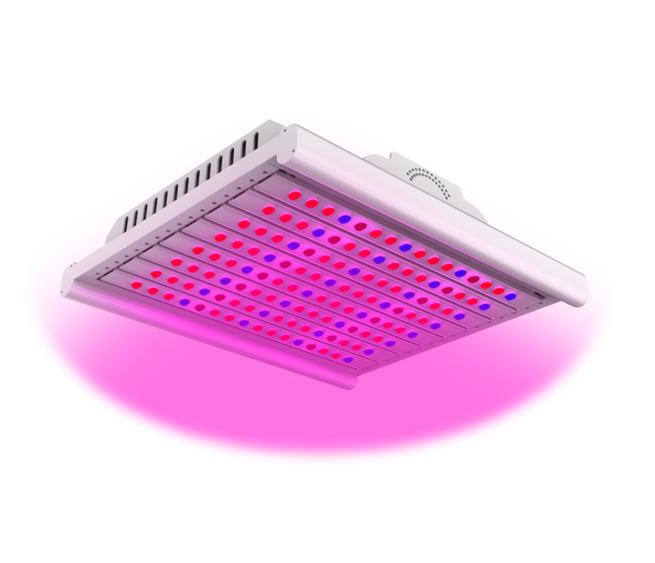 https://www.arianetech-sg.com/jp/EZYGRO-Horticulture-Supplementary-Light-Growth-Light-Artificial-lighting-in-agriculture