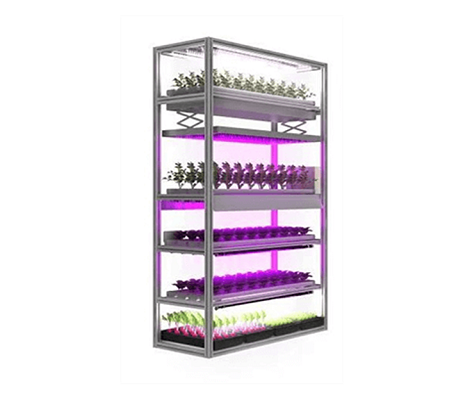 https://www.arianetech-sg.com/jp/plantfactory-system-smartagro