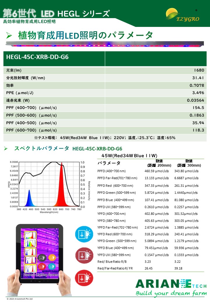 Slide4