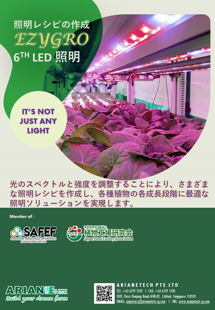 Slide6
