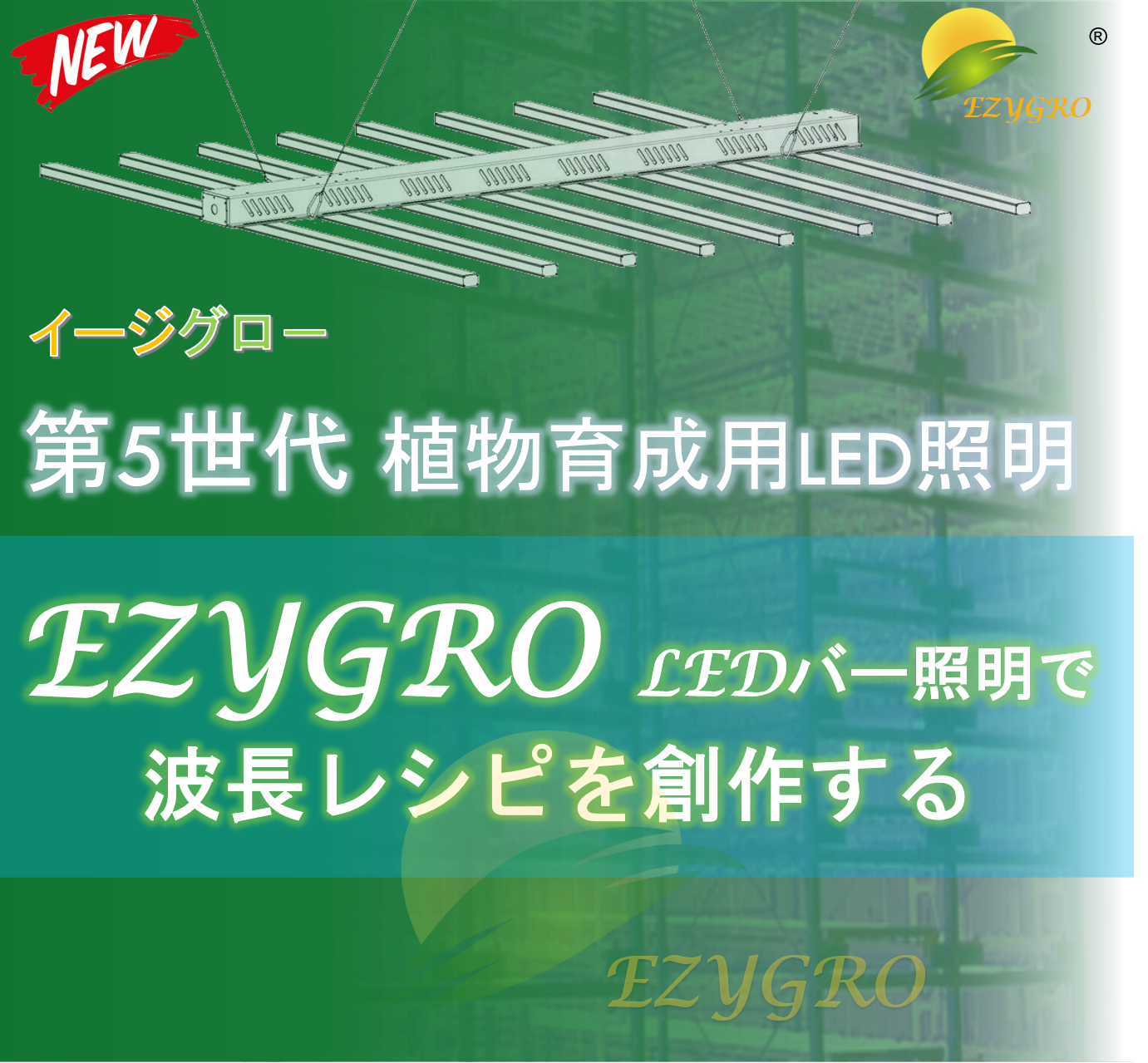 第五世代