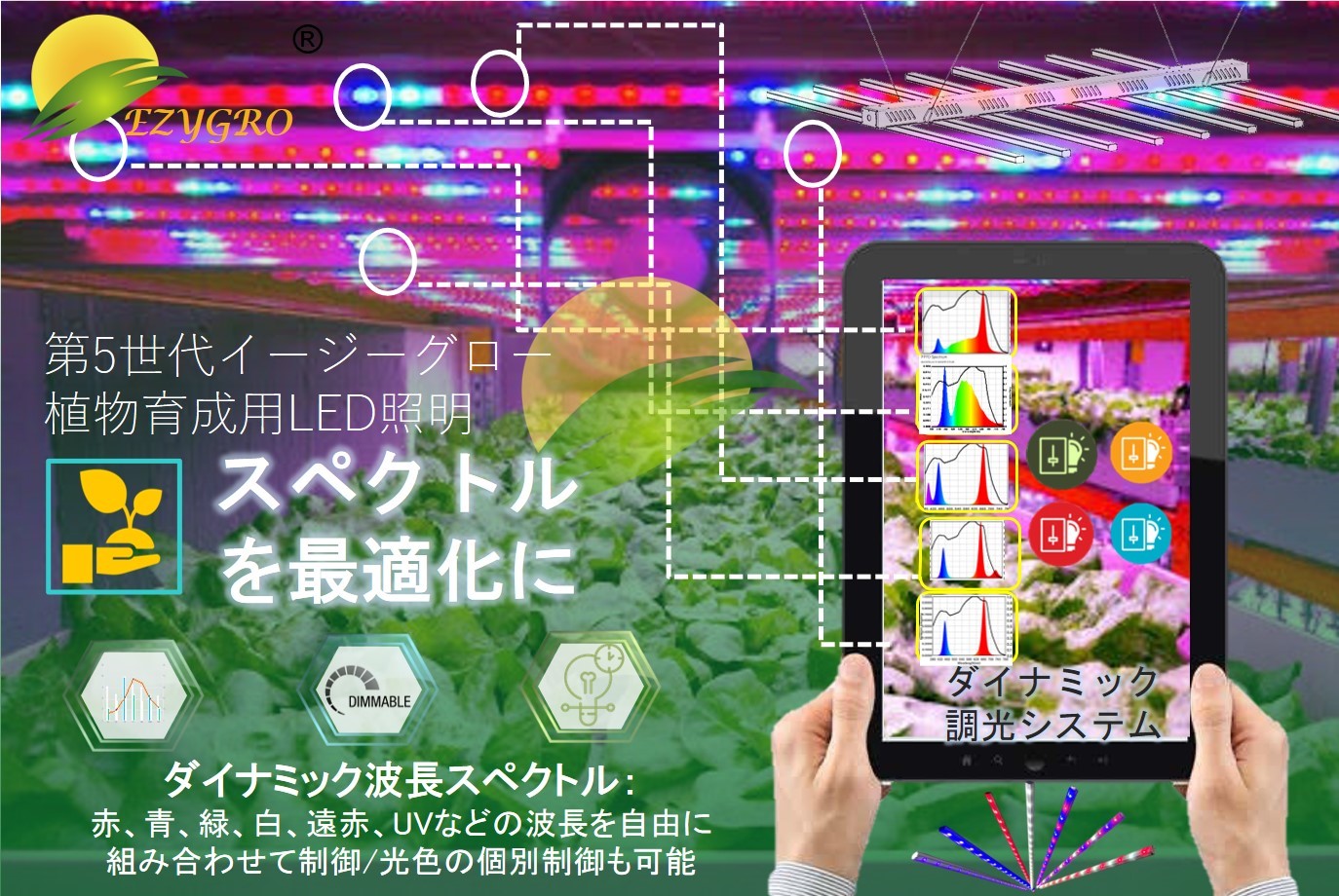 アリアンテックは植物用LED照明『イージーグロー第五世代LED』が新発売 アリアンテックは植物用LED照明『イージーグロー第五世代LED』が新発売